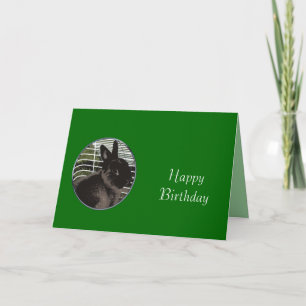 Carte Joli lapin noir joyeux anniversaire