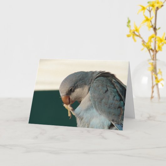 Carte Joli oiseau (Fleur jaune)