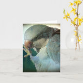 Carte Joli oiseau, anniversaire (Fleur jaune)