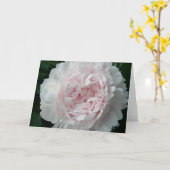 Carte Joli Peony Rose (Fleur jaune)