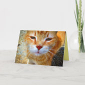 Carte Joli petit chat roux amical (Devant)