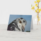 Carte Joli Pigeon (Fleur jaune)