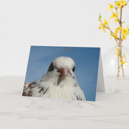 Carte Joli Pigeon (Fleur jaune)