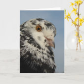 Carte Joli Pigeon (Fleur jaune)