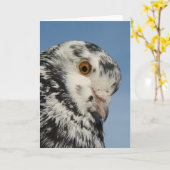 Carte Joli Pigeon Repéré Gros Plan, Blanc À L'Intérieur (Fleur jaune)