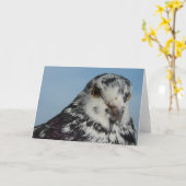 Carte Joli Pigeon tacheté (Fleur jaune)