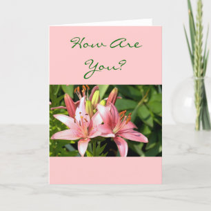 Carte Joli Pink Daylilies "Comment Es-Tu ?" (photo)