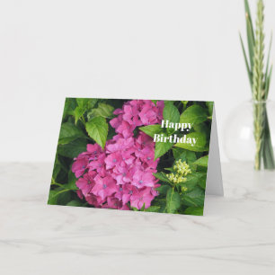Carte Joli rose Hydrangea Fleurs Photo Anniversaire