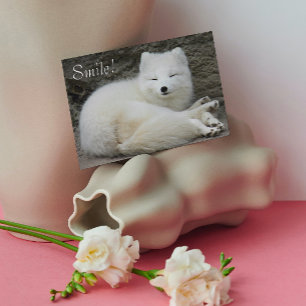 Carte Joli sourire White Arctic Fox Nature Anniversaire