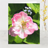 Carte Joli tulipe rose (Fleur jaune)