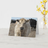 Carte Joli Vétérinaire Félicitations Ranch Farm DVM (Fleur jaune)