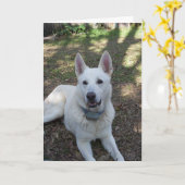 Carte jolie (Fleur jaune)