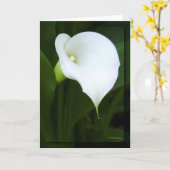 Carte Jolie calla lily (Fleur jaune)