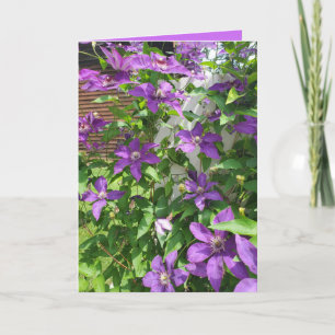 Carte Jolie Clématite Violette Fleurie Vierge