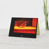 Carte Jolie colombe (Dos)