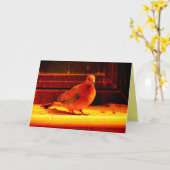 Carte Jolie colombe (Fleur jaune)