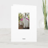 Carte Jolie Fête des Mères de Chat et Kitten (Dos)