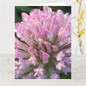 Carte Jolie fleur de trèfle (Fleur jaune)