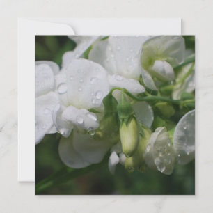 Carte Jolie Fleurs de pois doux blancs