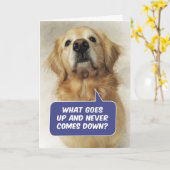 Carte Jolie Golden Retriever Drôle Birthday Riddle (Fleur jaune)