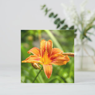 Carte Jolie grande photo de fleur de Lys