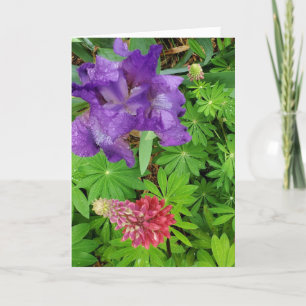 Carte Jolie Iris et Lupine Floral Tante Anniversaire