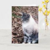Carte Jolie Kitty (Fleur jaune)