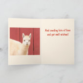 Carte Jolie Llama Fuzzy (Intérieur)