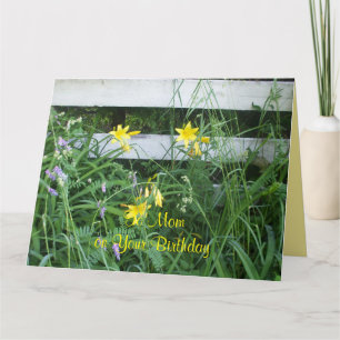 Carte Jolie Lys Jaunes par clôture Pour son anniversaire