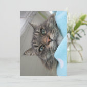 Carte Jolie Maine Maine Coon Kitty Day Dream (Debout devant)