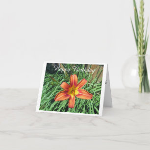 Carte Jolie Orange Lily Photo Anniversaire