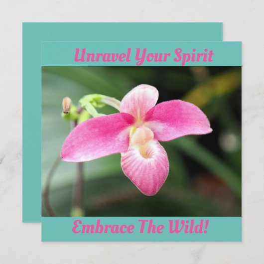 Carte Jolie Orchidée rose (Devant / Derrière)