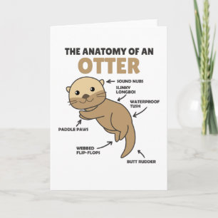 Carte Jolie Otter Explication Anatomie D'Une Otter