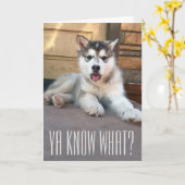 Carte Jolie photo de chiot Malamute d'Alaska Miss You (Fleur jaune)