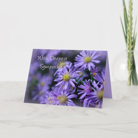 Carte Jolie Soft Purple Aster Fleurs Sympathie (Devant)
