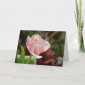 Carte Jolie Tulipe rose Photographie Florale Pâques (Devant)