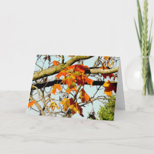 Carte Jolies Feuilles D'automne Bénédictions D'automne
