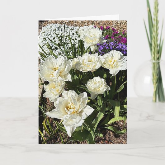 Carte Jolies fleurs (Devant)