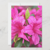 Carte jolies fleurs d'azalée rose (Dos)