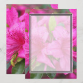 Carte jolies fleurs d'azalée rose (Devant / Derrière)