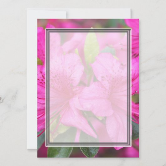 Carte jolies fleurs d'azalée rose (Devant)