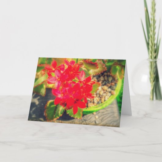 Carte Jolies Fleurs Rouges en Fleurs (Devant)