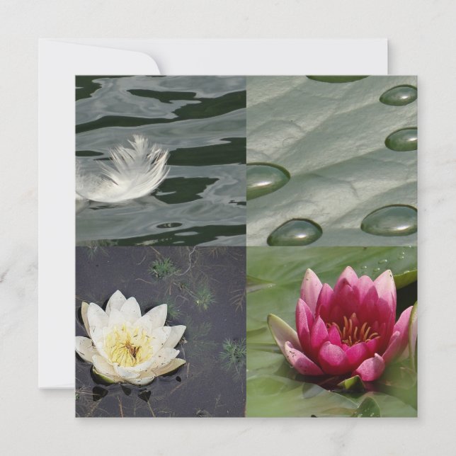 Carte Jolies Nappes D'Eau (Devant)