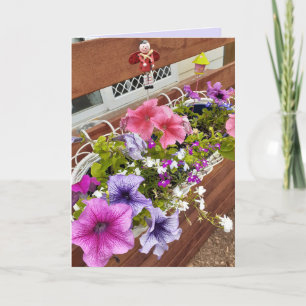 Carte Jolies Pétunias Violettes et Roses et Jardin de Fé