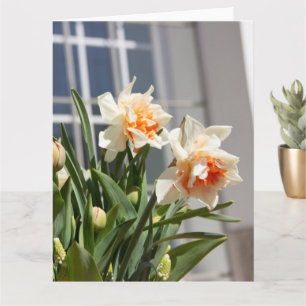 Carte Jolis délicats jonquilles printemps