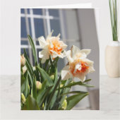 Carte Jolis délicats jonquilles printemps (Devant)