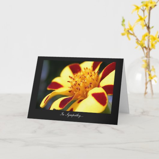 Carte Jolly Jester Marigold - En Sympathie (Fleur jaune)