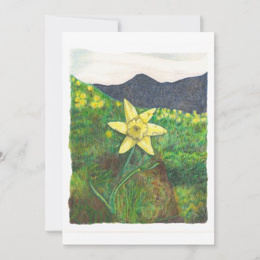 Carte Jonquille (Devant)