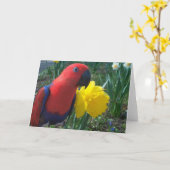 Carte Jonquille d'Eclectus -- Grand (Fleur jaune)