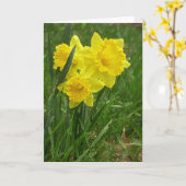 Carte Jonquilles (Fleur jaune)